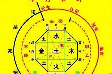 八字喜用神怎麼看|喜用神速查：改運必備